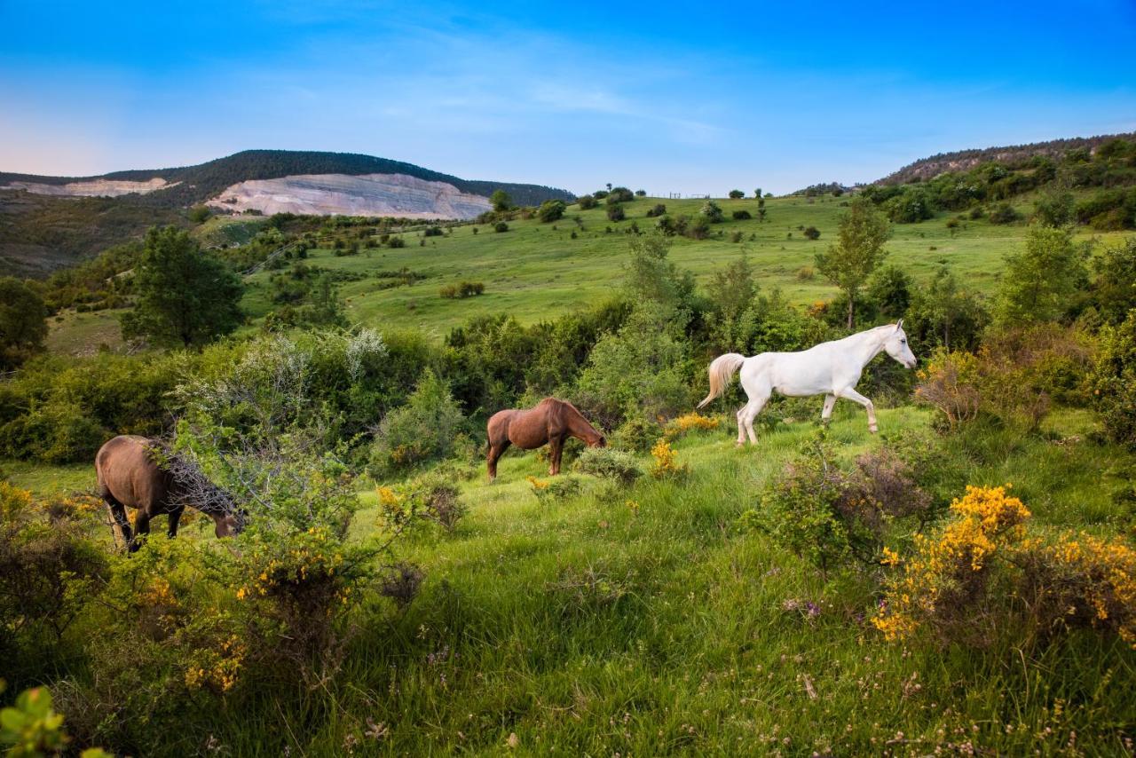 Hospedaje Rural Casa Parri Poveda de la Sierra 외부 사진